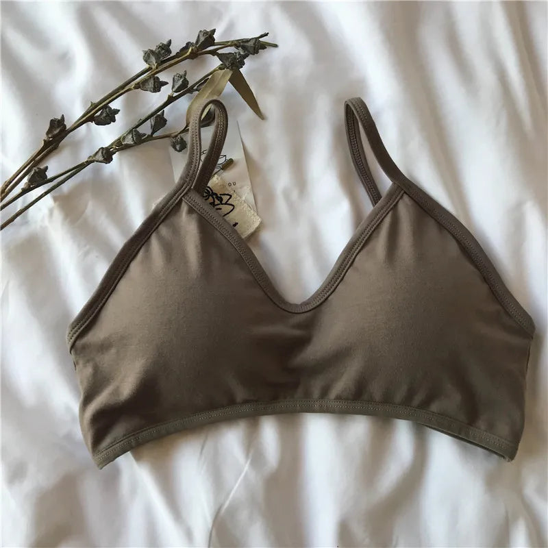 Women Push-Up Bra Comfort Cotton Underwear Non-wire Bras Female Sexy Lingerie Small Cup Bralette Top Removable Pads Brassiere