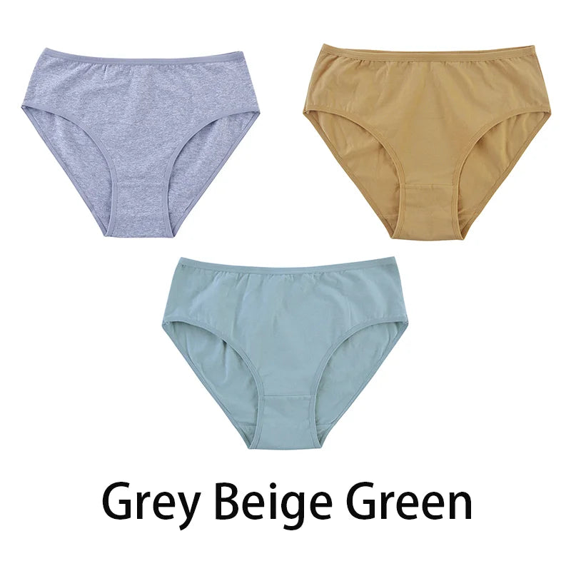 3PCS/Set Women Sexy Seamless Cotton Panties Big Size Underwear Female Underpants Girls 6 Solid Color Soft Briefs Lingerie 8815