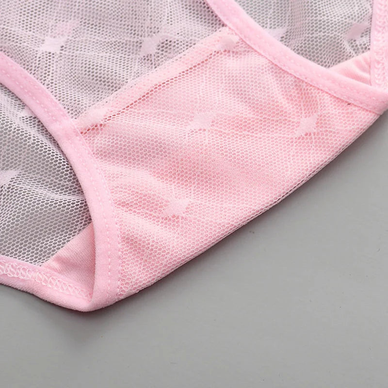 Women's panties Low-Rise Lace Hollow out Mesh Briefs Transparent Sexy Panties Girls Intimate Lingerie Underwear Women's panties