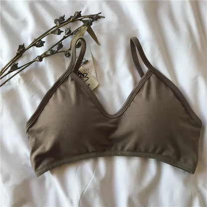 Women Push-Up Bra Comfort Cotton Underwear Non-wire Bras Female Sexy Lingerie Small Cup Bralette Top Removable Pads Brassiere