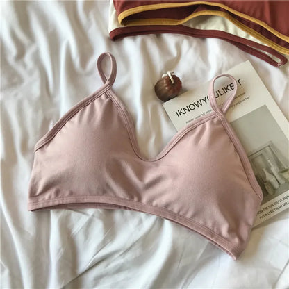 Women Push-Up Bra Comfort Cotton Underwear Non-wire Bras Female Sexy Lingerie Small Cup Bralette Top Removable Pads Brassiere