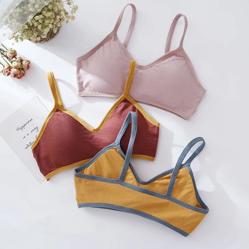 Women Push-Up Bra Comfort Cotton Underwear Non-wire Bras Female Sexy Lingerie Small Cup Bralette Top Removable Pads Brassiere