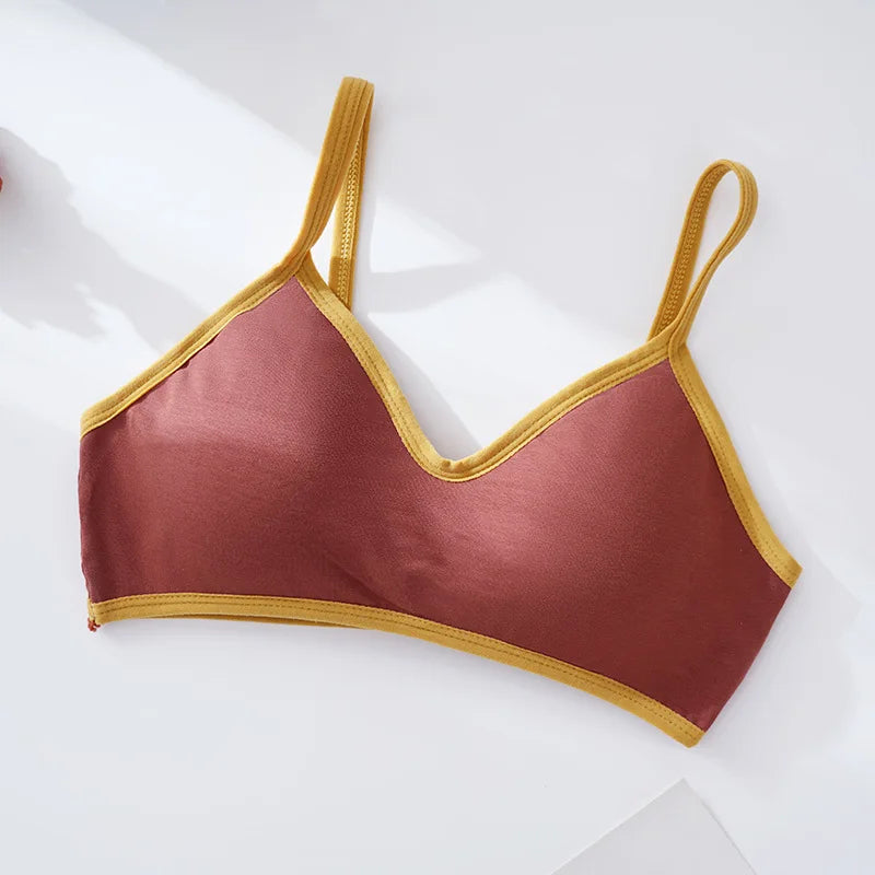 Women Push-Up Bra Comfort Cotton Underwear Non-wire Bras Female Sexy Lingerie Small Cup Bralette Top Removable Pads Brassiere