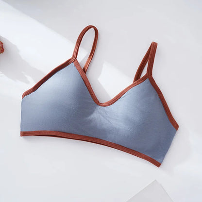 Women Push-Up Bra Comfort Cotton Underwear Non-wire Bras Female Sexy Lingerie Small Cup Bralette Top Removable Pads Brassiere