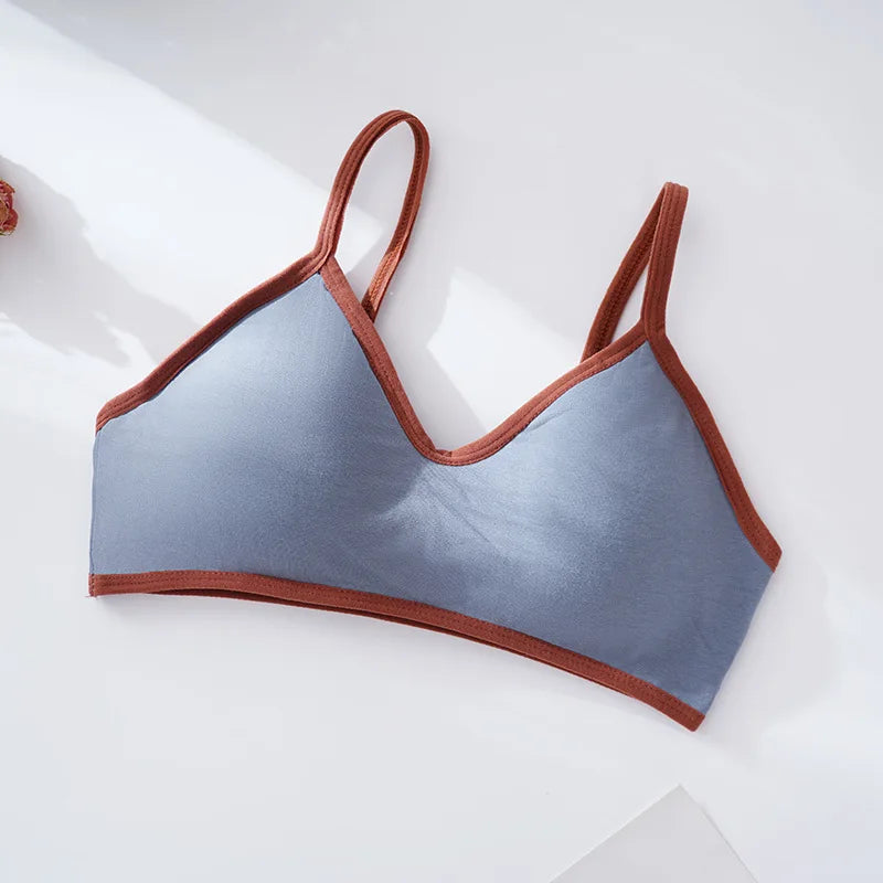 Women Push-Up Bra Comfort Cotton Underwear Non-wire Bras Female Sexy Lingerie Small Cup Bralette Top Removable Pads Brassiere