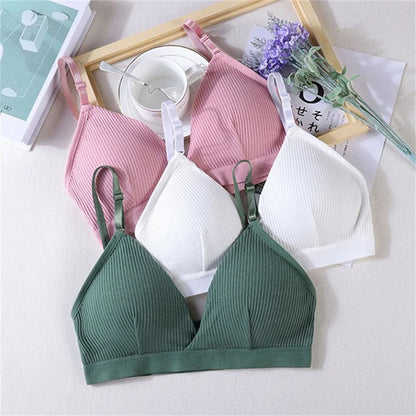 Women's Bras Cotton Brassiere Soft Intimates Solid Color Push Up Bra For Casual Everyday Wear Undergarments